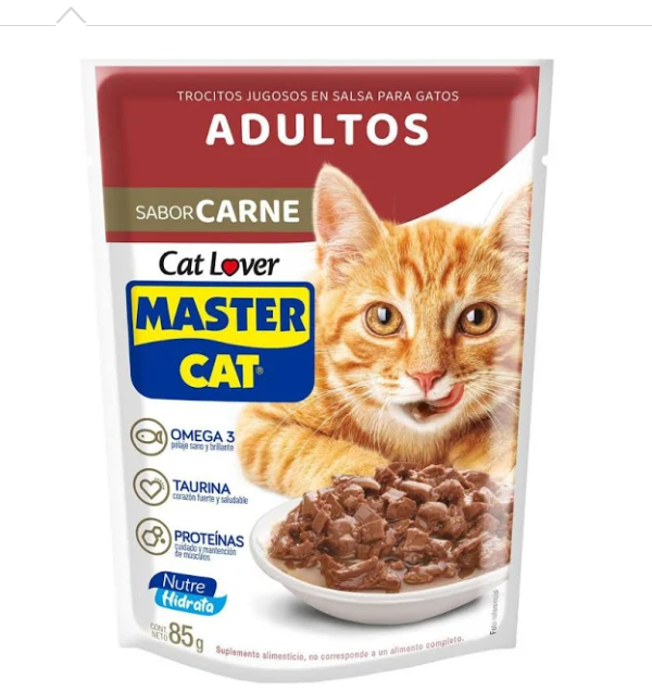 10 Sobres Master Cat Carne 85 grm