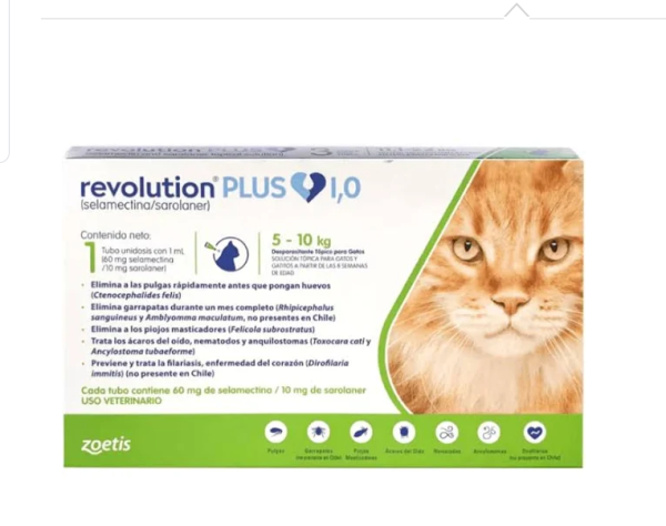 Revolution Plus Gato 5 - 10kg (1ml)
